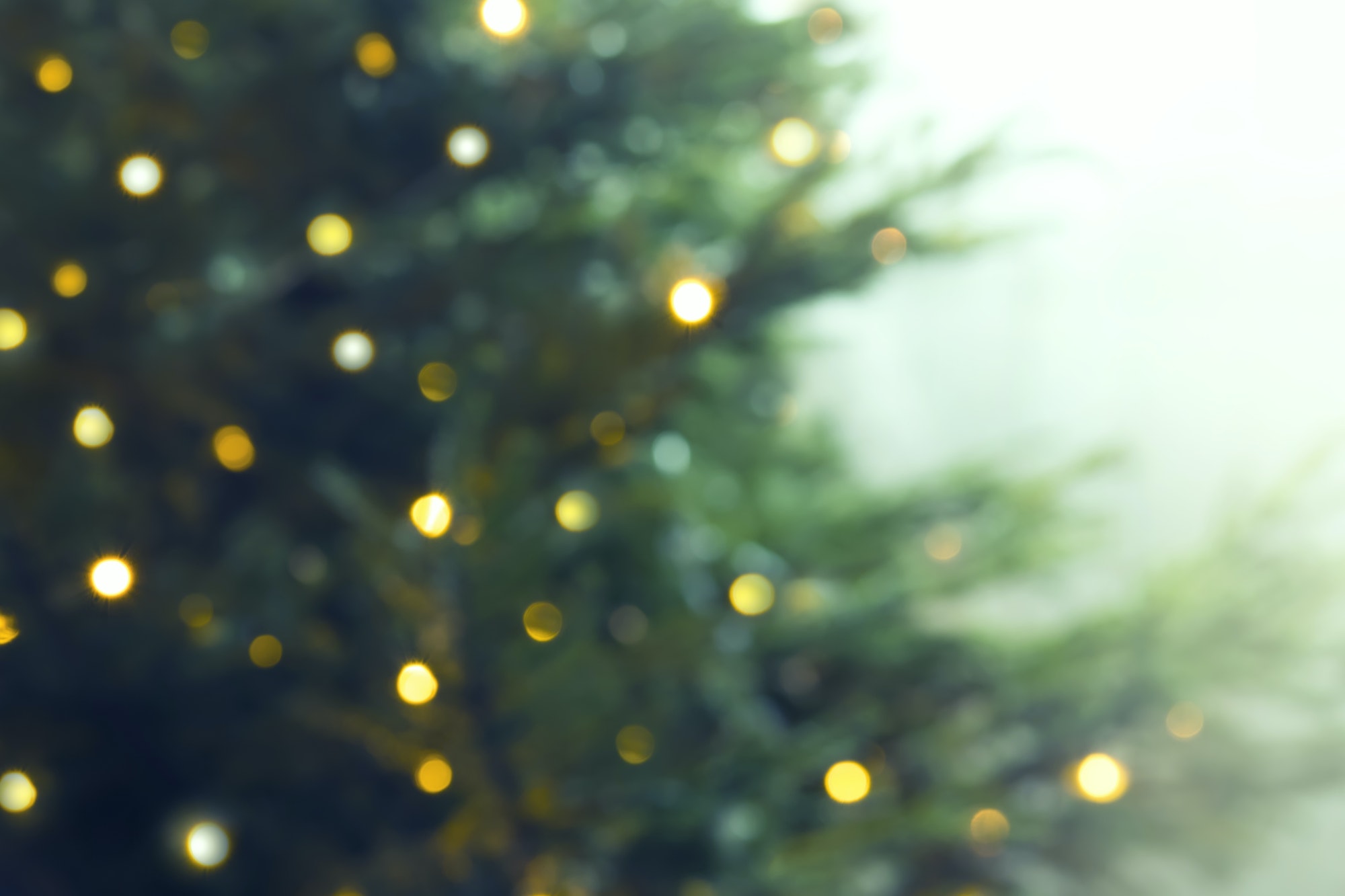 New Year or Christmas blurred background with Christmas tree and colorful bokeh lights