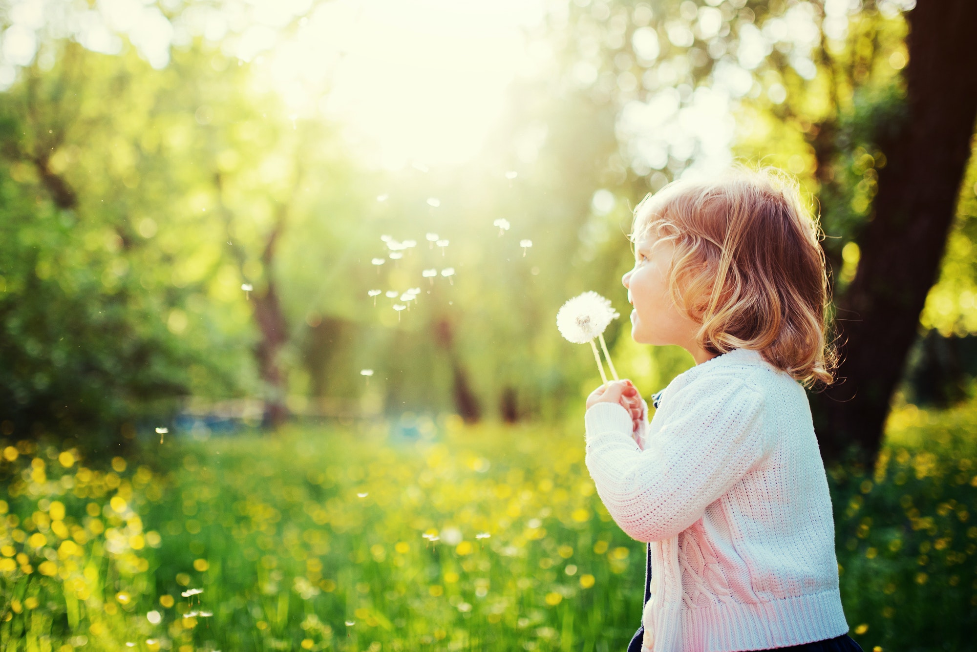 child with dandelion