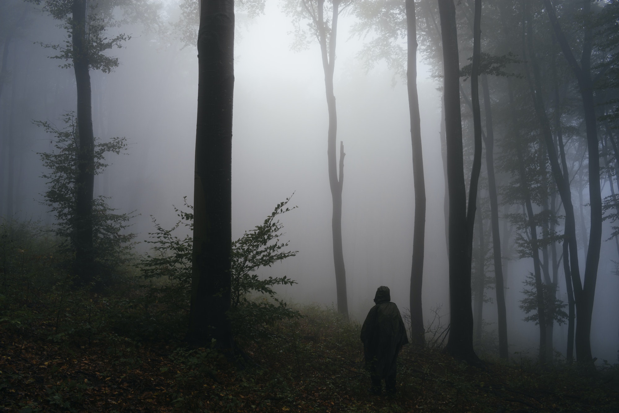 Ghost in foggy forest